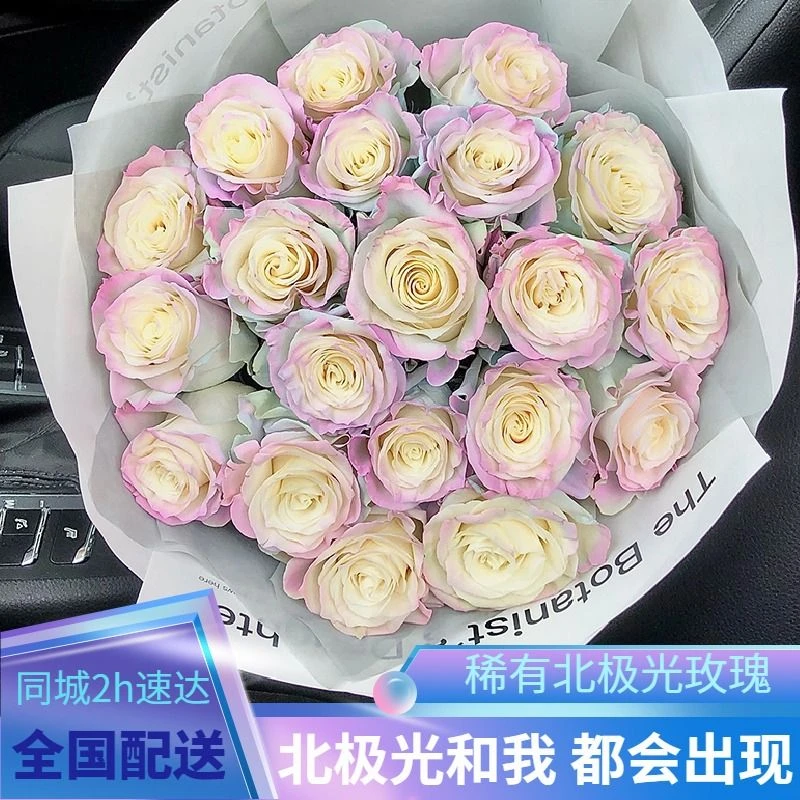 厄瓜多尔北极光欧若拉玫瑰花束渐变鲜花同城配送附近花店小时达