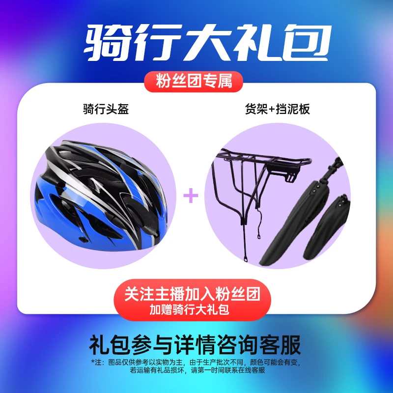 【订金】专业骑行电助力自行车山地车头盔货架挡泥板大礼包