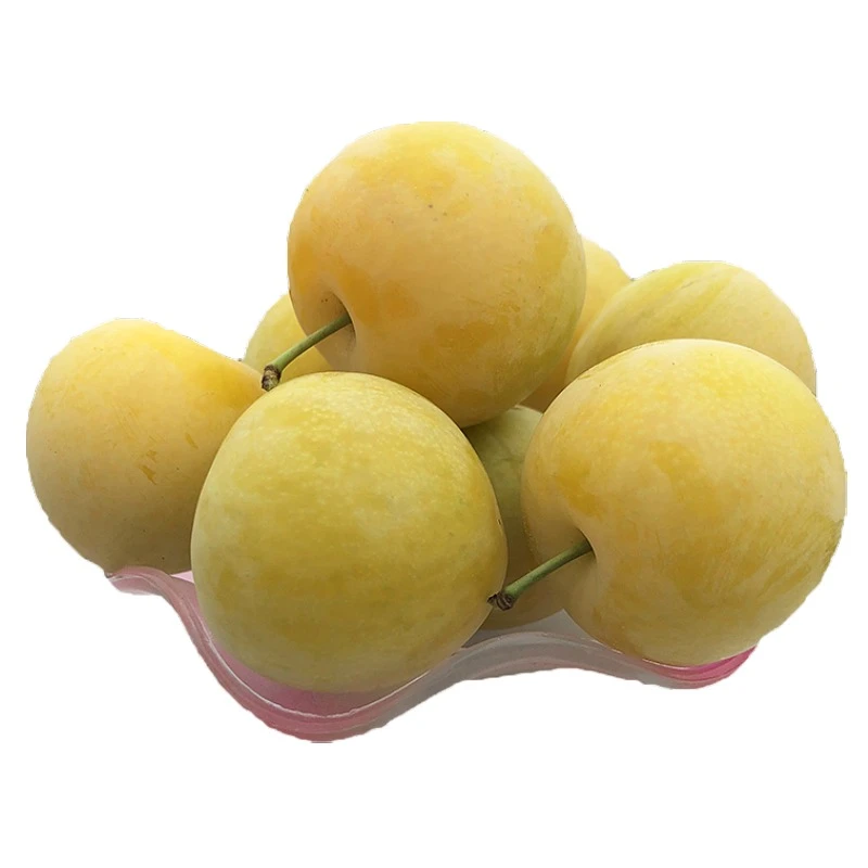 【现采现摘】冰糖李子桃花李软糯香甜汁水丰富新鲜采摘2斤/3斤/5斤