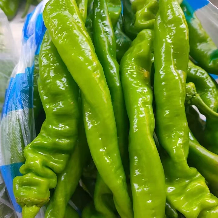 螺丝椒1斤（500g）