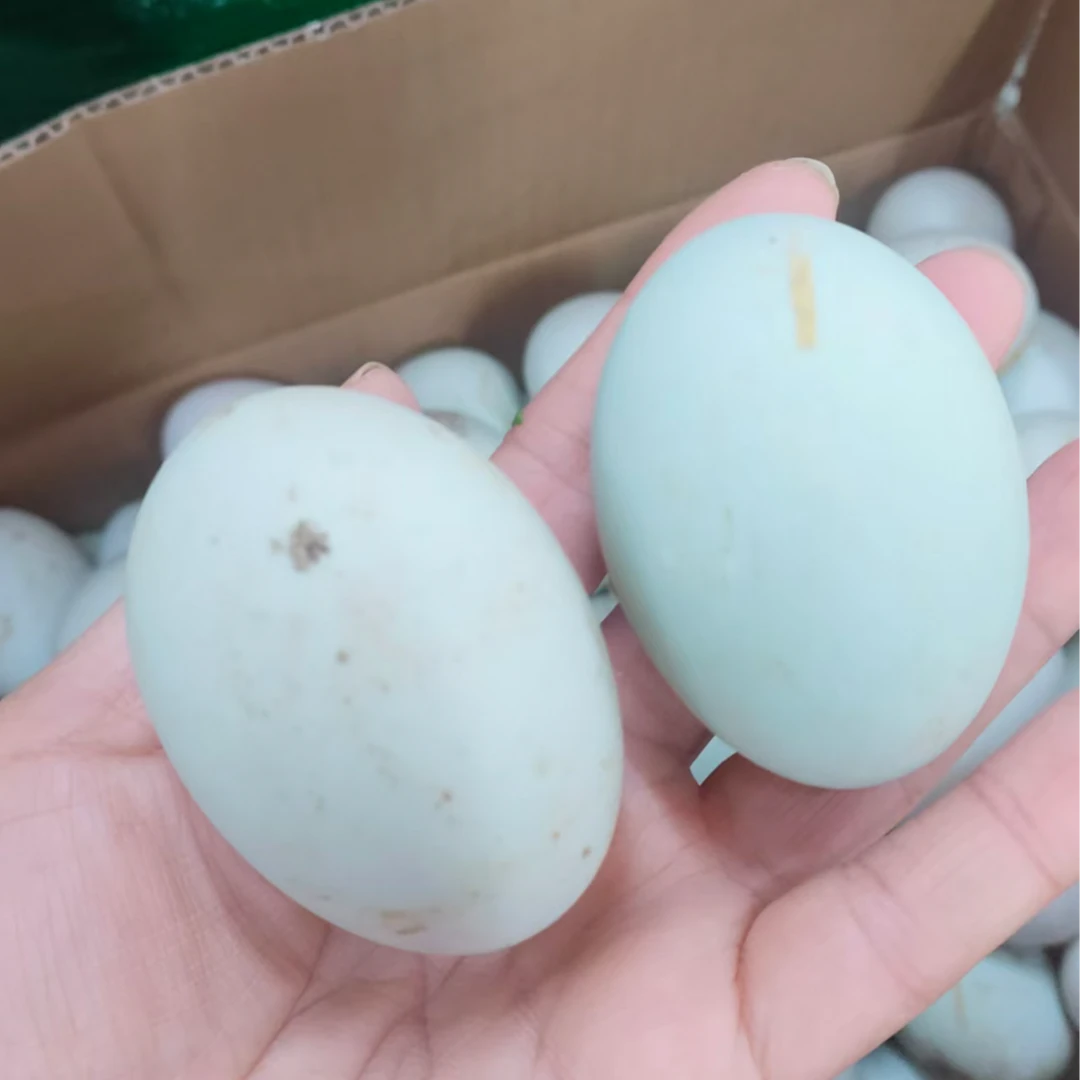 咸鸭蛋1个