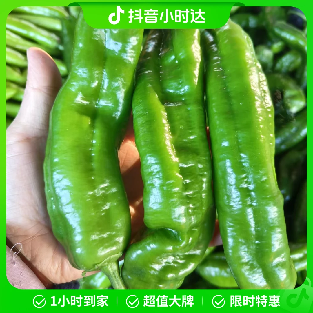 不辣尖椒1斤（500g）