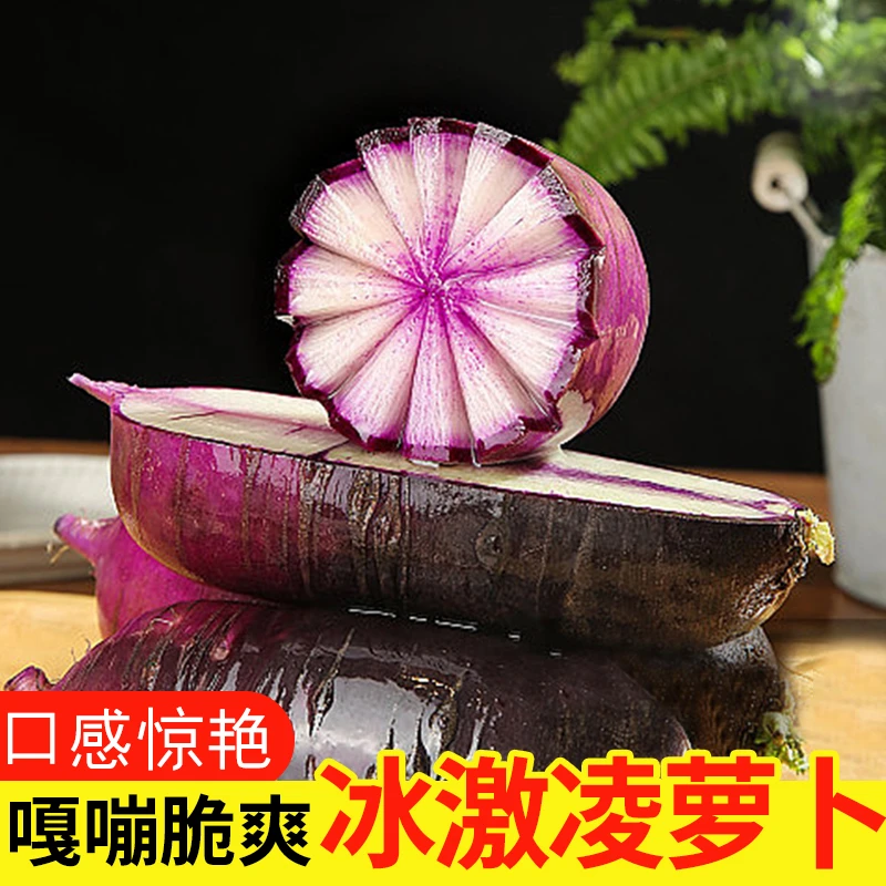 山东潍坊冰淇淋萝卜现拔水果萝卜潍县萝卜脆甜嘎嘣脆好吃