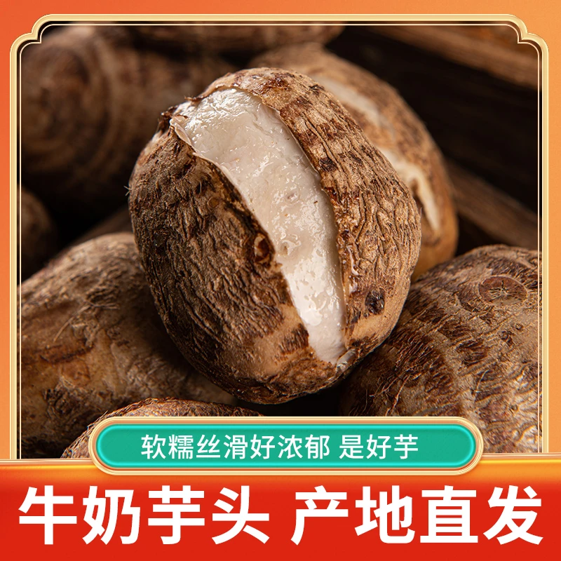 山东牛奶小芋头口感细腻精选产品新鲜饱满产地种植品质皮薄