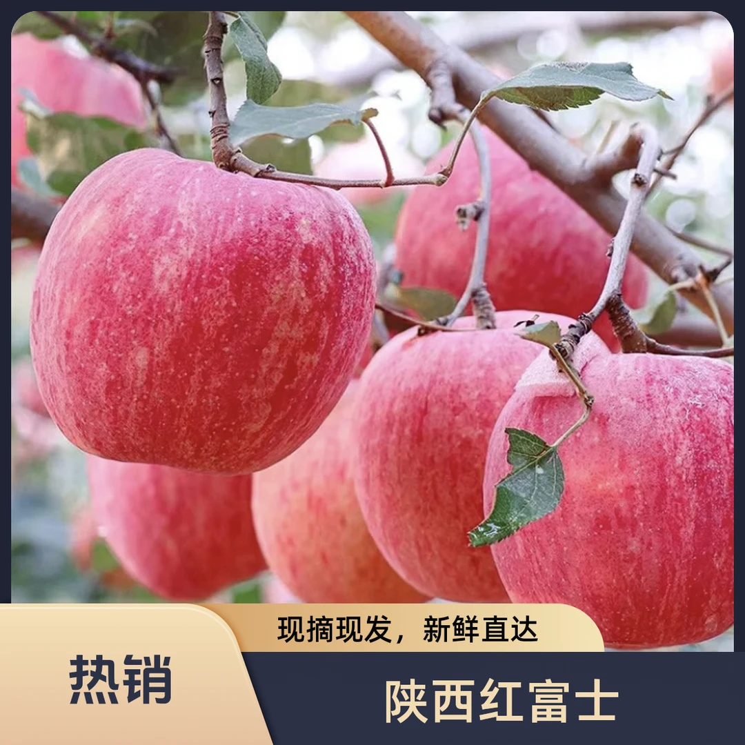【买5斤送5斤带箱9.5-10斤】陕西红富士苹果脆爽酸甜产地直发80-110