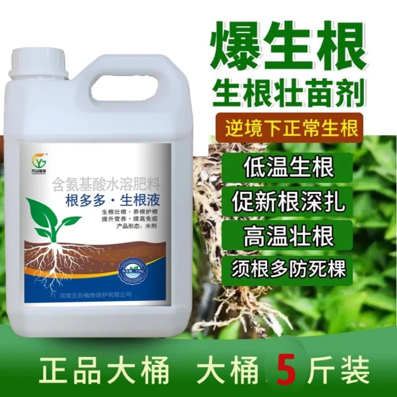 根多多 生根液 生根剂防根腐清病害去盐害强生根瓜果蔬菜花卉绿植