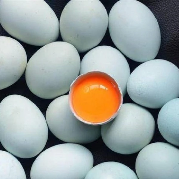北京平谷绿壳土鸡蛋/散养天然营养/乌鸡蛋30枚包邮