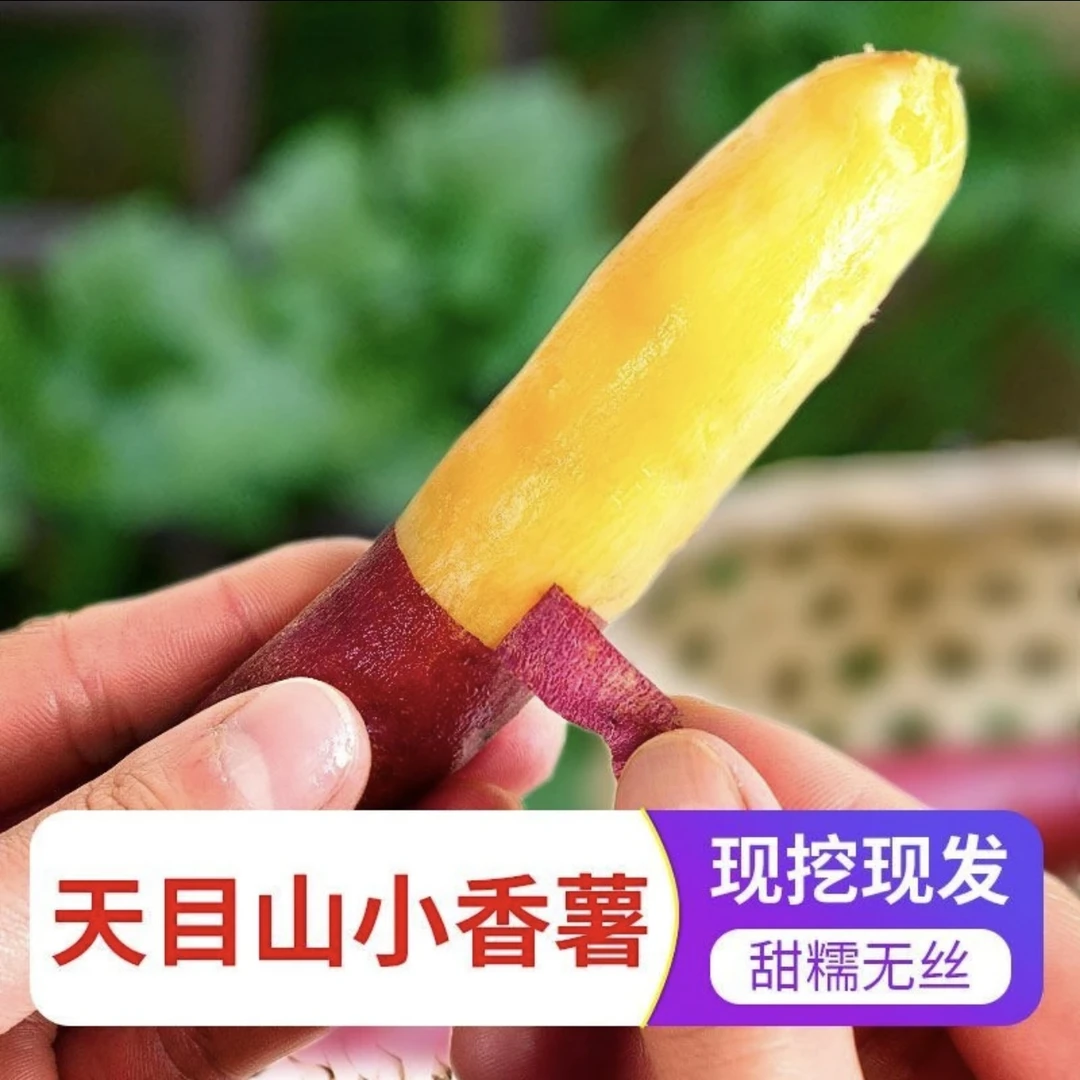 临安天目山小香薯黄心无经无丝现5斤装皮薄软糯香甜红皮老少皆宜