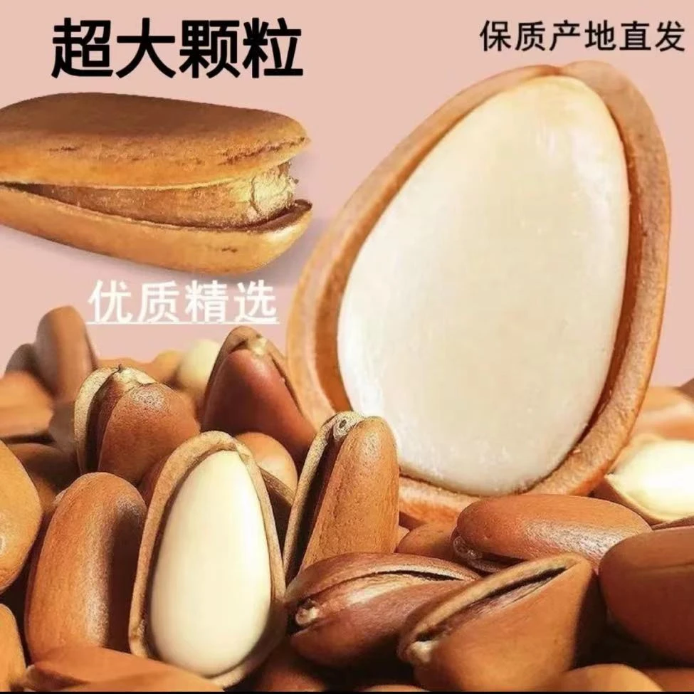 【厂家直销】手剥东北松子罐装坚果蔬菜大颗粒250g*2罐