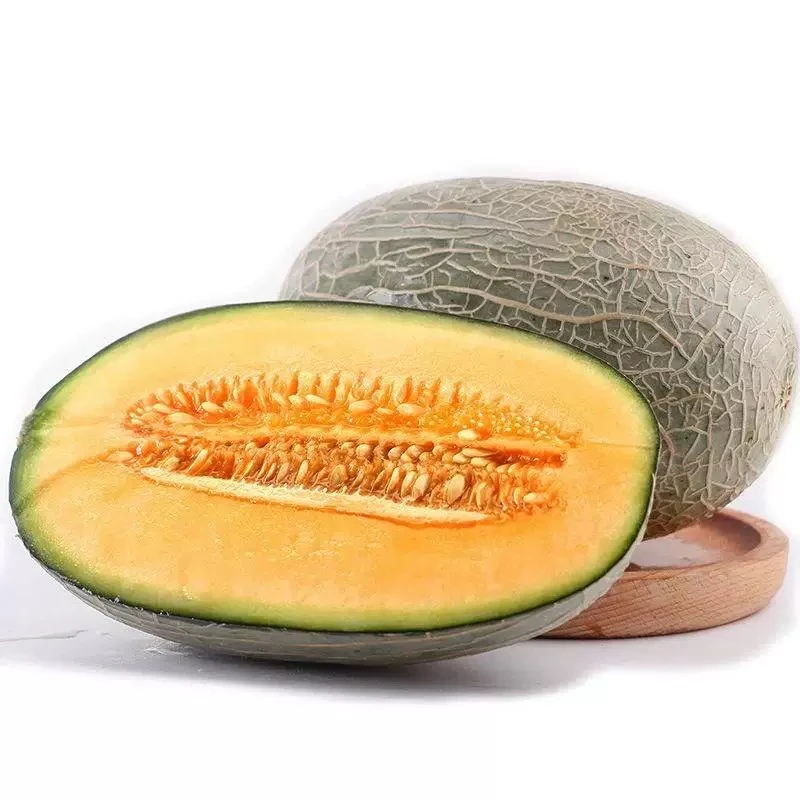 【新如意枝】未知果蜜瓜一个净重3.2-3.5斤左右