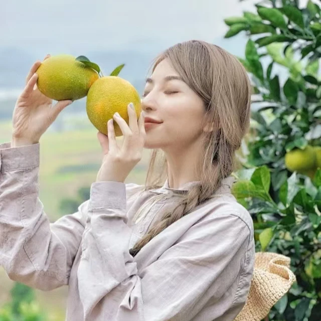 邬小蕾专属  赣南脐橙   20斤装