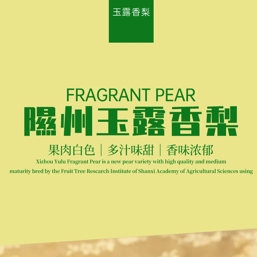 隰县玉露香皮薄水大新鲜酥脆香甜香脆爽口个头口感