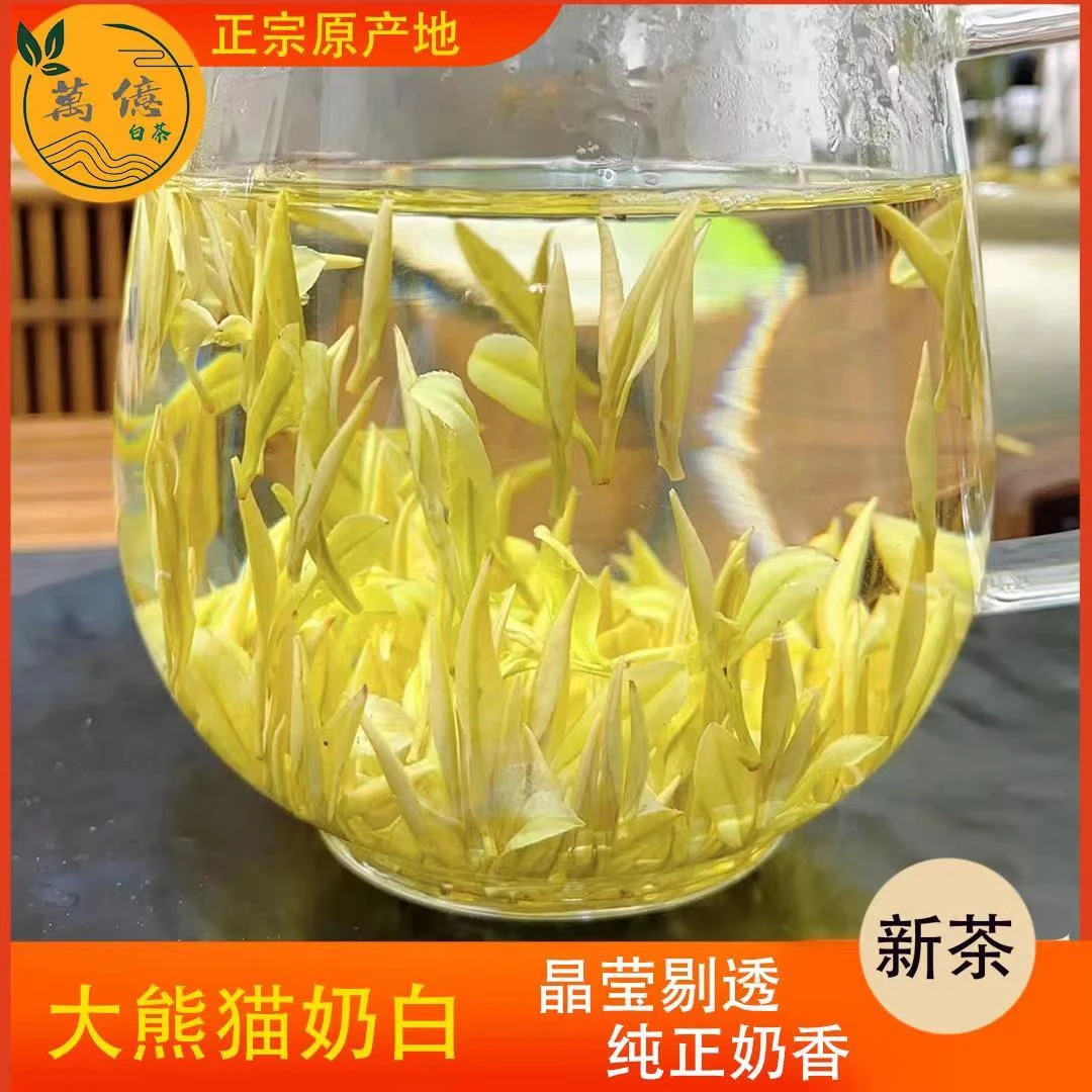 A86 大熊猫奶白 【头采奶白茶 匠心工艺 奶香花蜜香 】