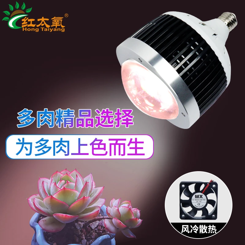 【糖主多肉】全光谱多肉法师补光灯球泡绿植家用室内上色植物生长灯