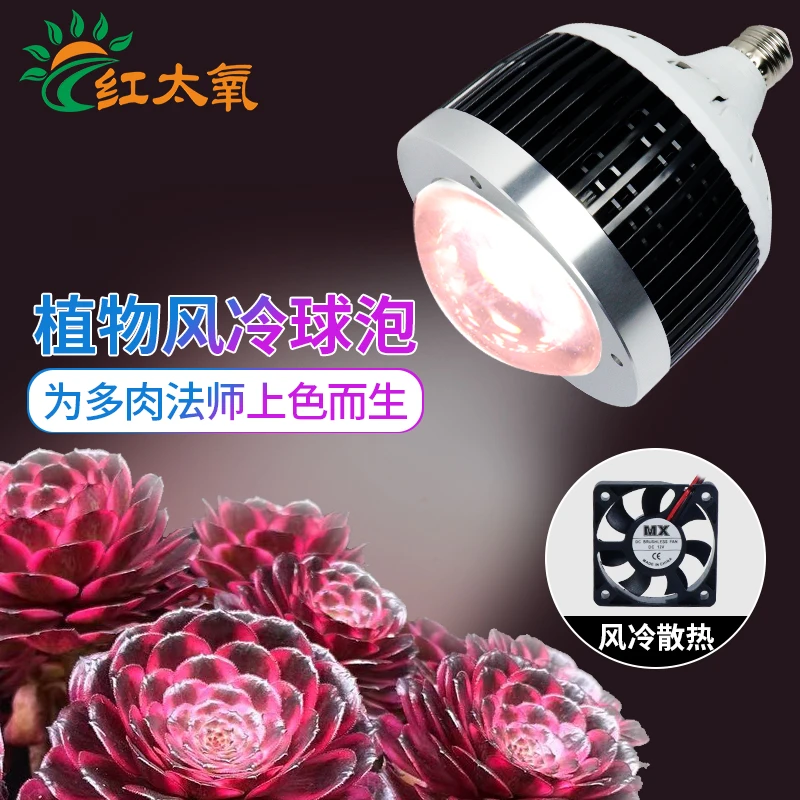 【天一专属】红太氧多肉专用补光灯全光谱球泡家用室内植物生长灯