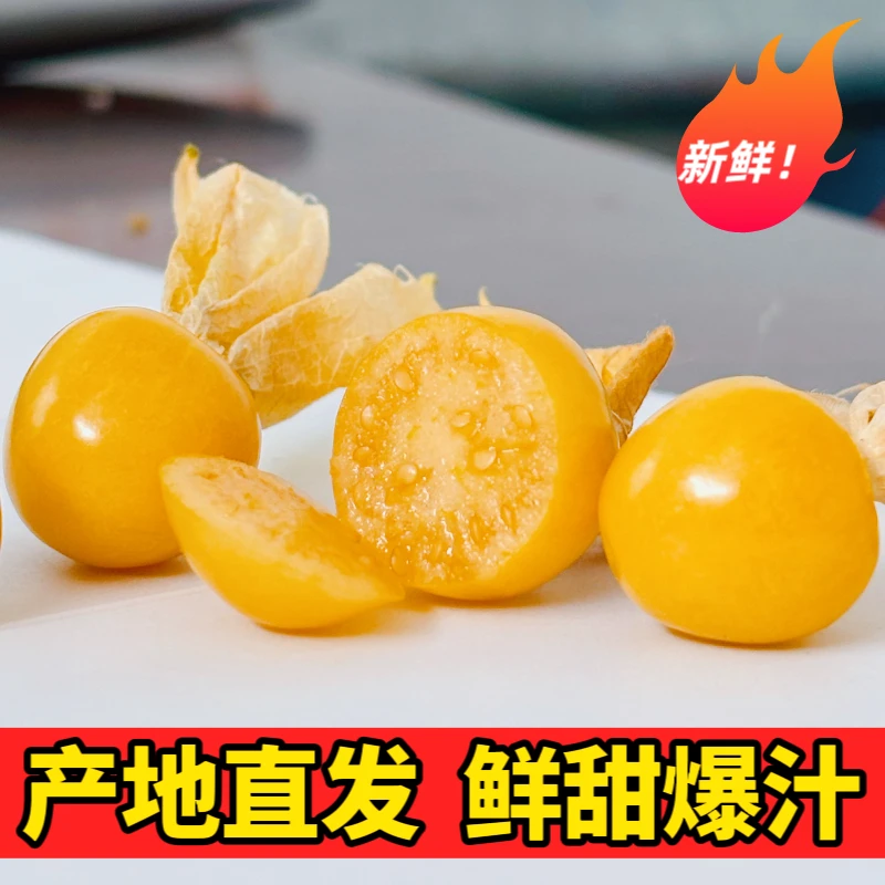 东北大地自然成熟的小姑娘 带箱4斤包邮 皮薄肉厚嘎嘎甜