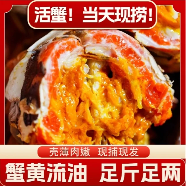 【江苏活蟹】鲜活螃蟹 公3.0-2.7两 母2.5-2.2两 共十只 礼盒
