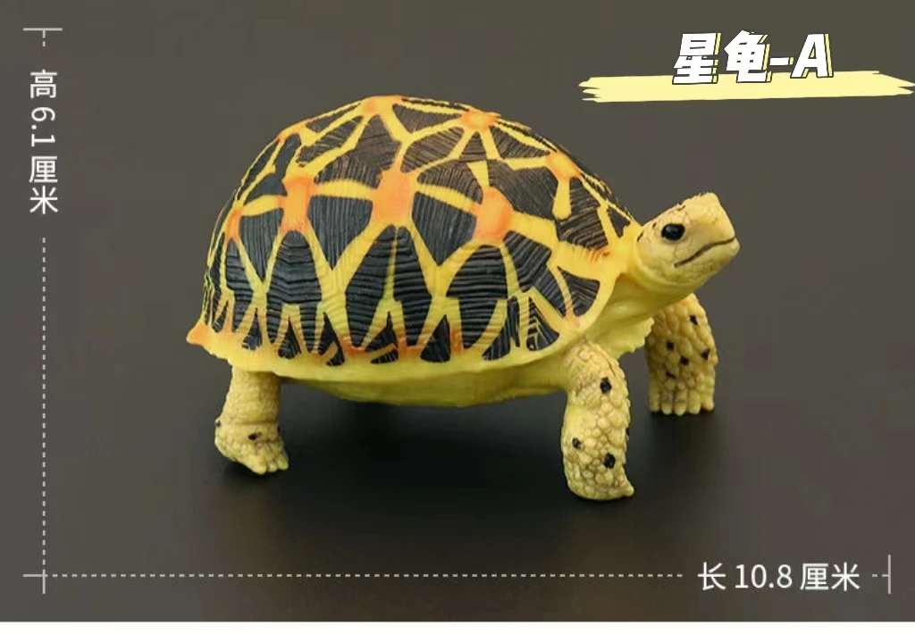 多种儿童节仿真乌龟摆件儿童早教益智塑胶实心玩具认知