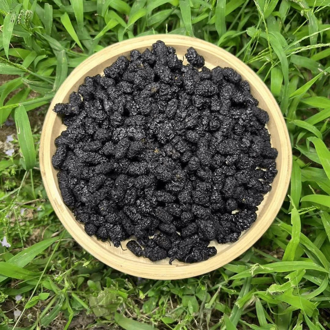 高山 农家 桑葚干