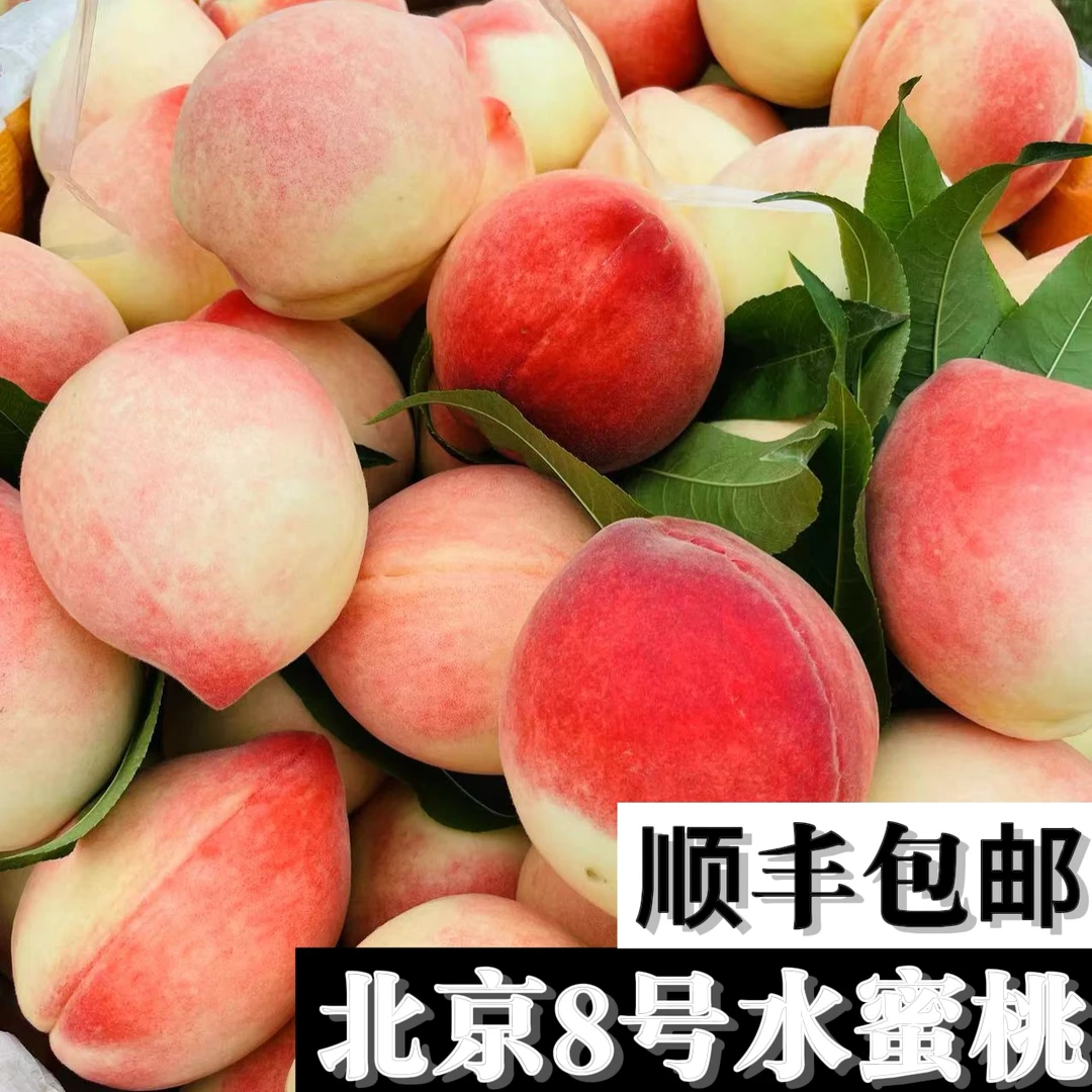 黄土高原 礼泉 北京8 水蜜桃 纯甜爆汁 顺丰包邮 真正京8