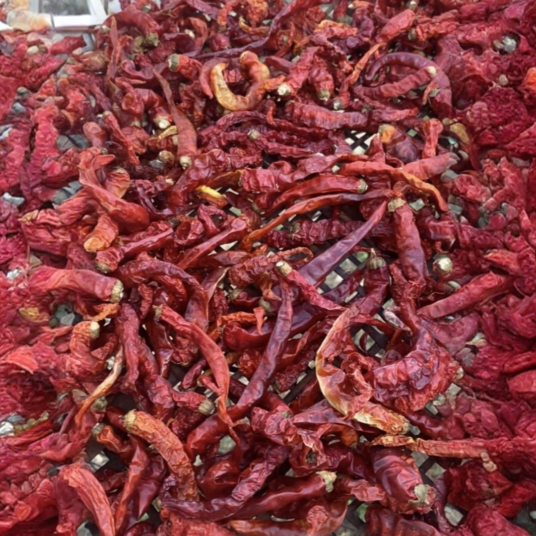 【湖南新化】本地收集采摘香辣干红辣椒