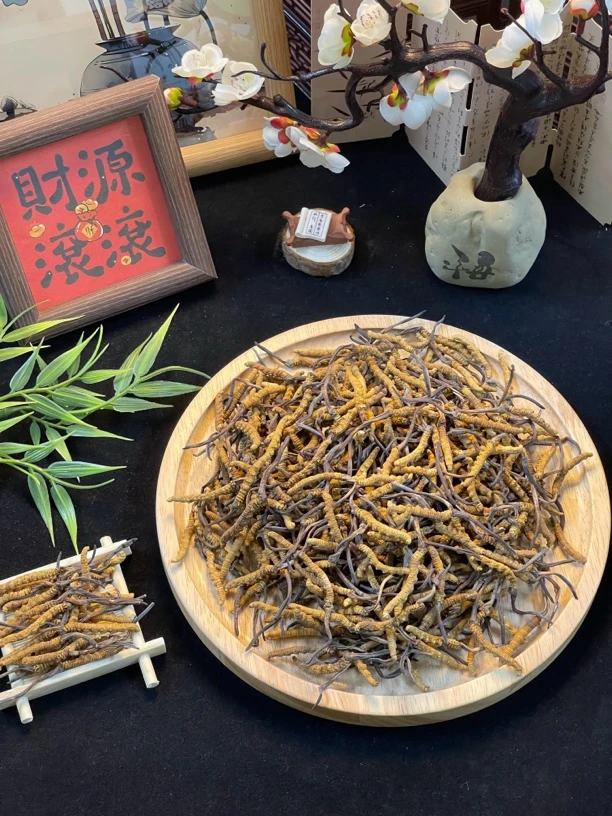 虫草 精选野生虫草3条1克 那曲精选冬虫夏草   干货新鲜