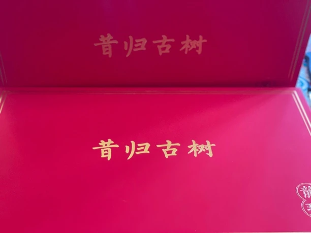 2023年昔归古树8g一盒装