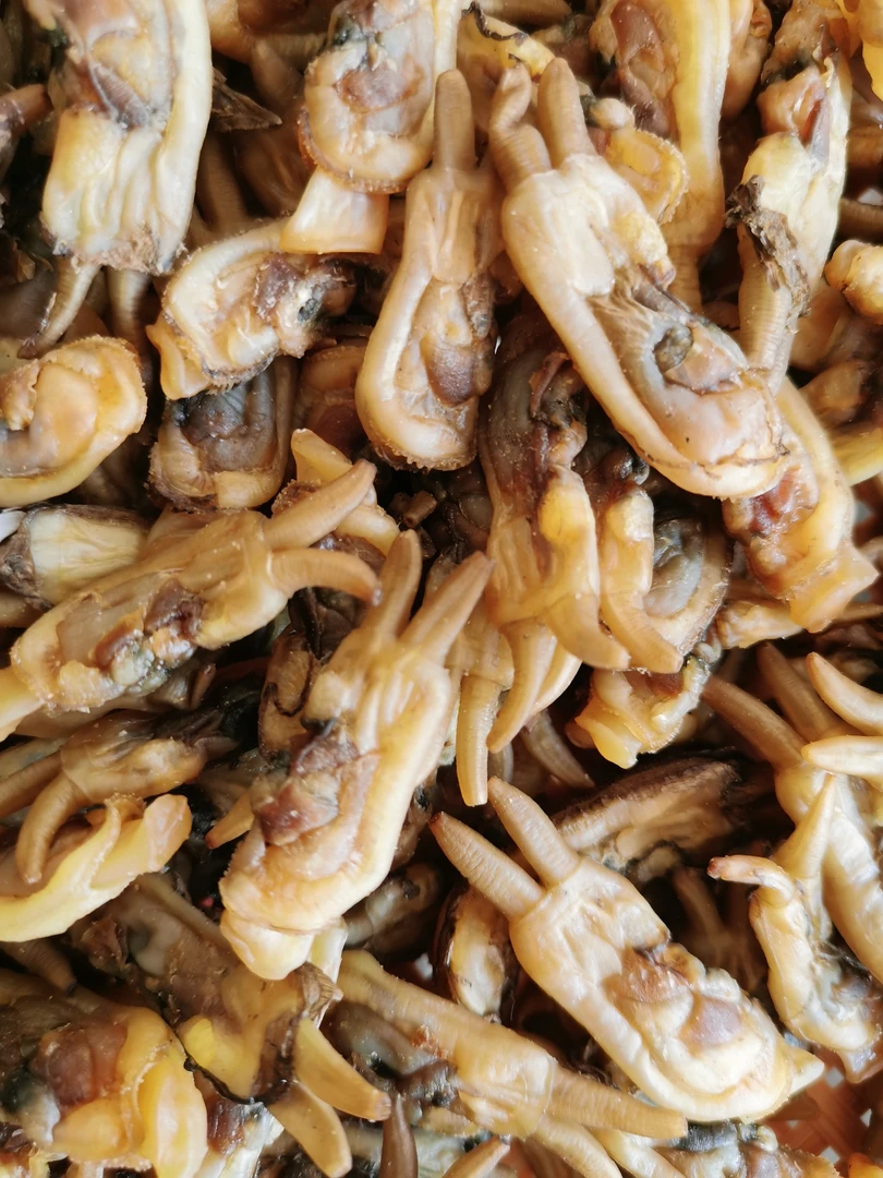 福建莆田特产无沙海蛏干新货蛏子干海鲜干货本地蛏干新鲜大蛏干