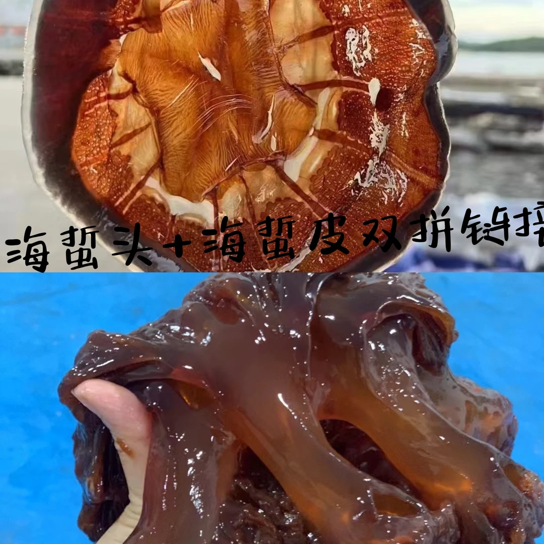 吕四本港海蜇皮海蜇整头双拼 净重5斤拍5发6（运输途中怕水分流失）