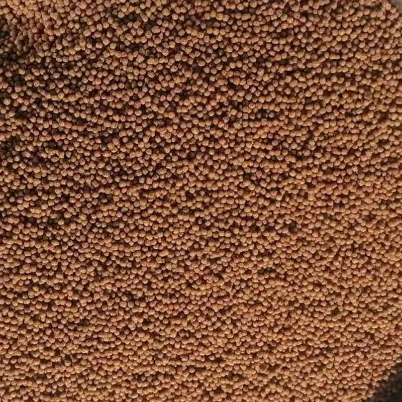 蝴蝶鲤锦鲤饲料上浮料增白饲料高蛋白鱼粮