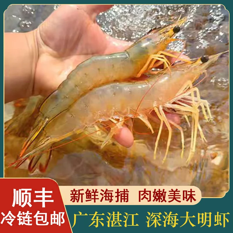 二哥海鲜 广东湛江  海捕天然大明虾11-12条/斤 到手4斤 顺丰包邮