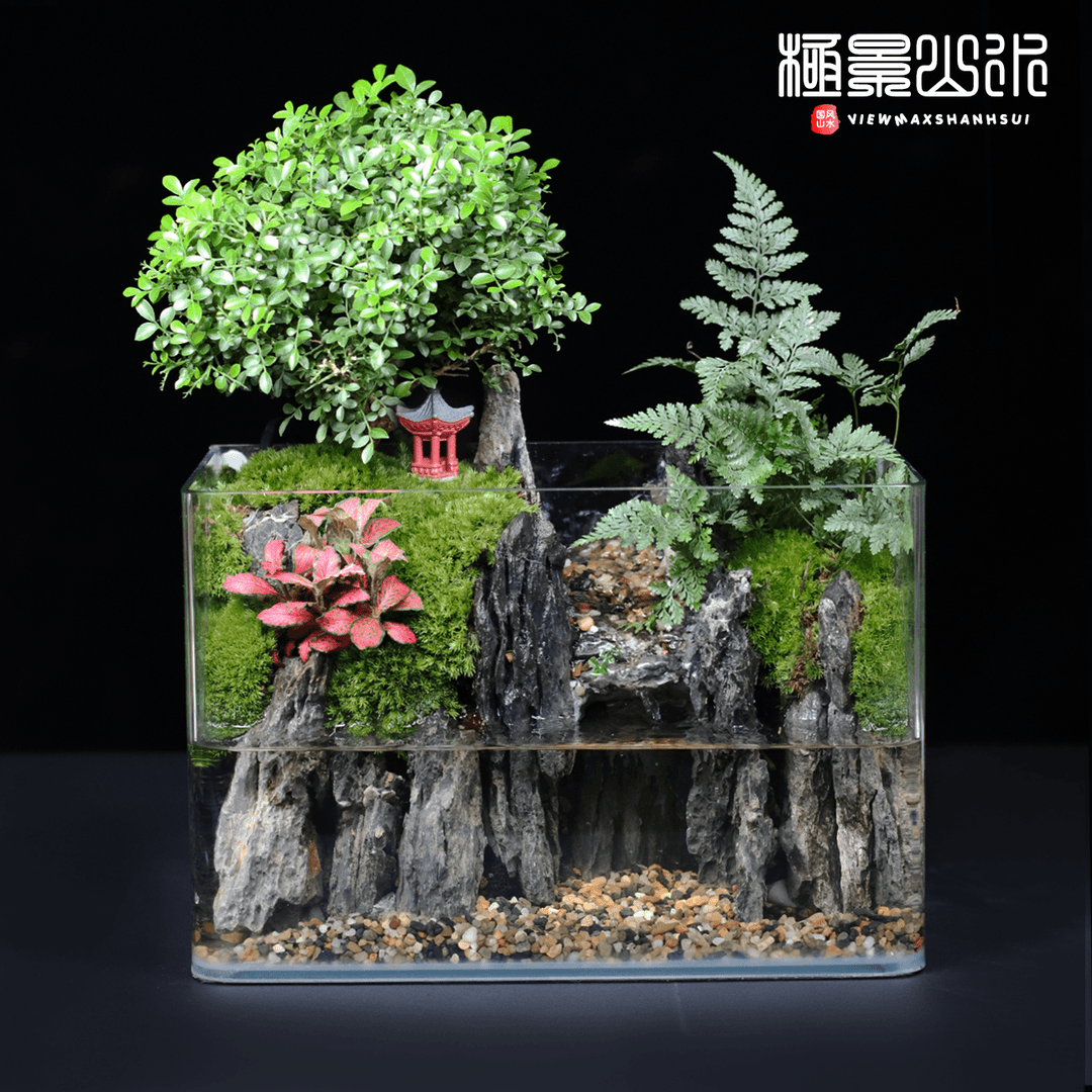【万重山】巨无霸达摩九里香桌面流水景观可养鱼
