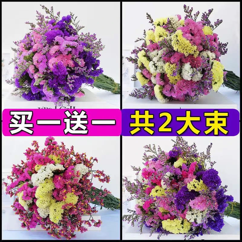勿忘我鲜花养干花抖音好物基地直销干花花束家居装饰买一送一客厅