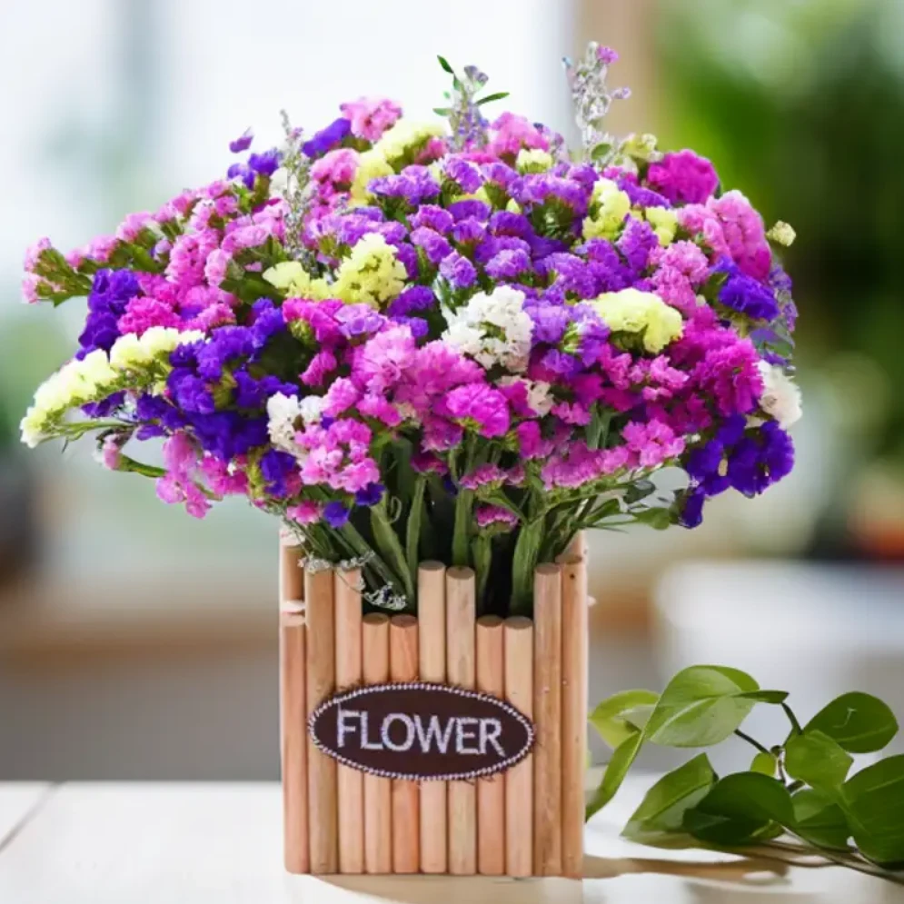 【双12抖音好物】勿忘我鲜花创意花束干花花束客厅田园送木质花盆