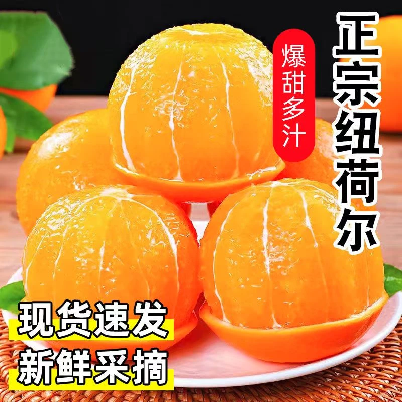 【爆甜多汁10斤】正宗高山纽荷尔脐橙应季新鲜水果现摘现发甜爆汁L