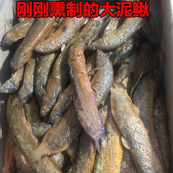 白洋淀现杀熏鱼锅包鱼熏特产野生泥鳅个大肉嫩真空包装加热