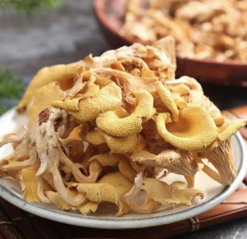 云南现收 山货鸡油菌