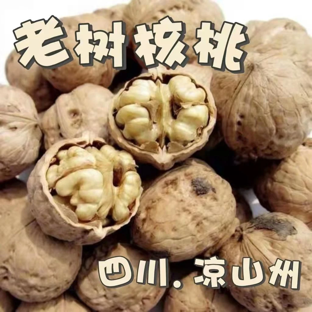 四川大凉山老树核桃净重5斤装