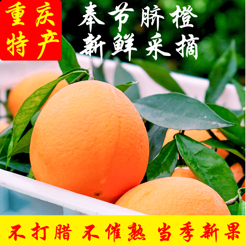 正宗重庆奉节脐橙甜橙3斤新鲜当季水果细腻香甜饱满