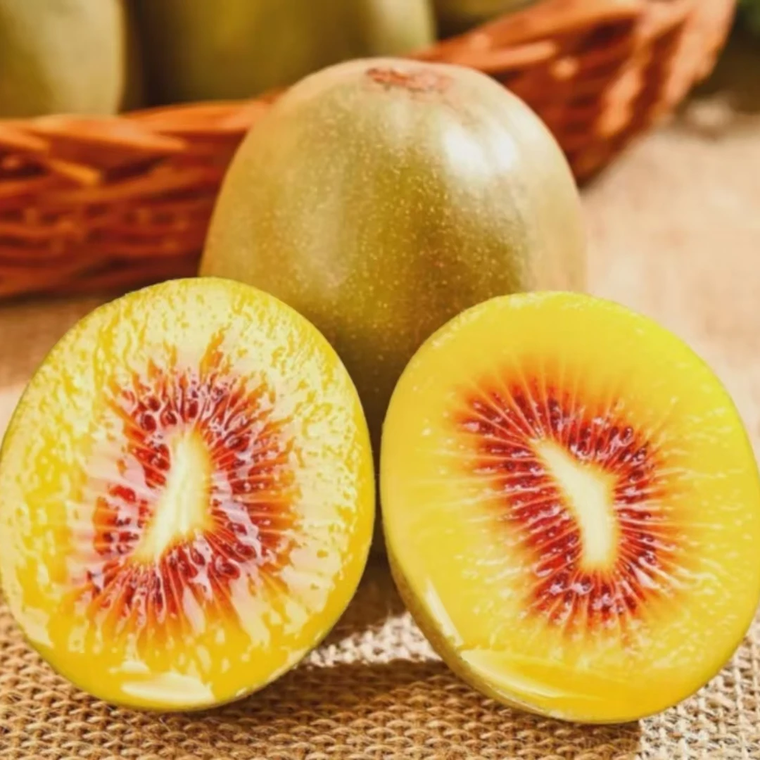 【放软后可食用】四川红心猕猴桃农家新鲜绿色水果优质果园种植