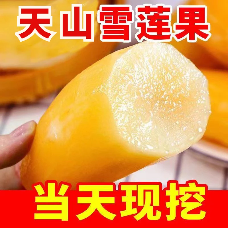 【脆甜多汁】云南正宗天山黄心雪莲果3/5/9斤新鲜应季水果整箱