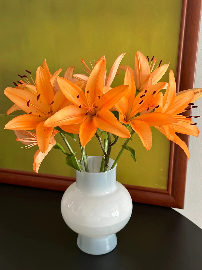 【新疆鲜花】多头橙色梦想亚百合5支（4支+1支售后）（无香型）