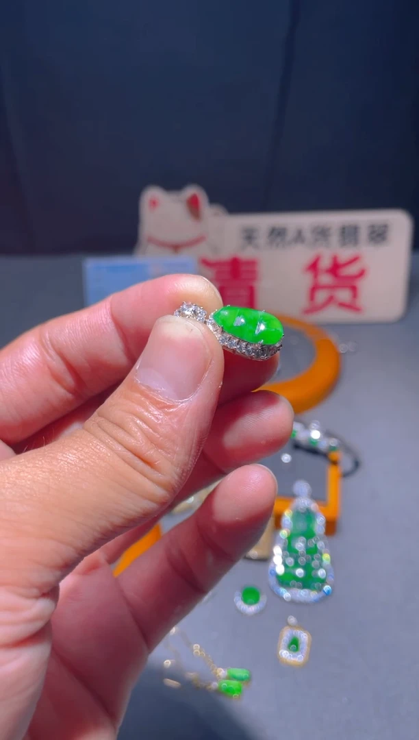 【闪购商品】翡翠颈饰未镶嵌