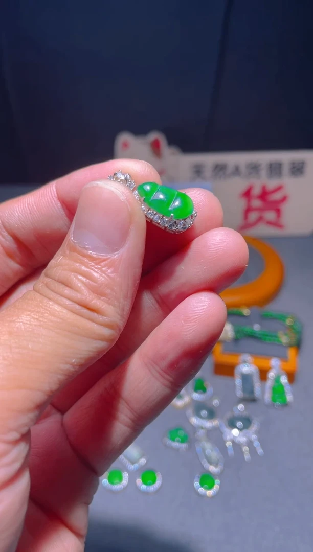 【闪购商品】翡翠颈饰未镶嵌