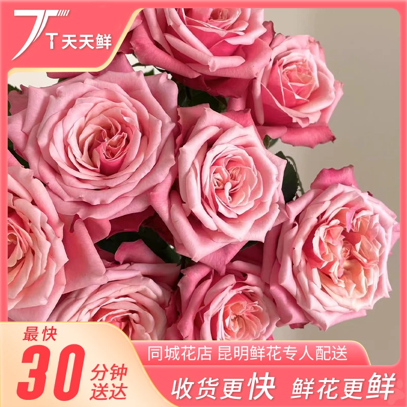 【拍三份立减6元】闺蜜单头玫瑰10支 | 外红内粉 | 花期长 | 品质高 | 鲜花订购同城配送