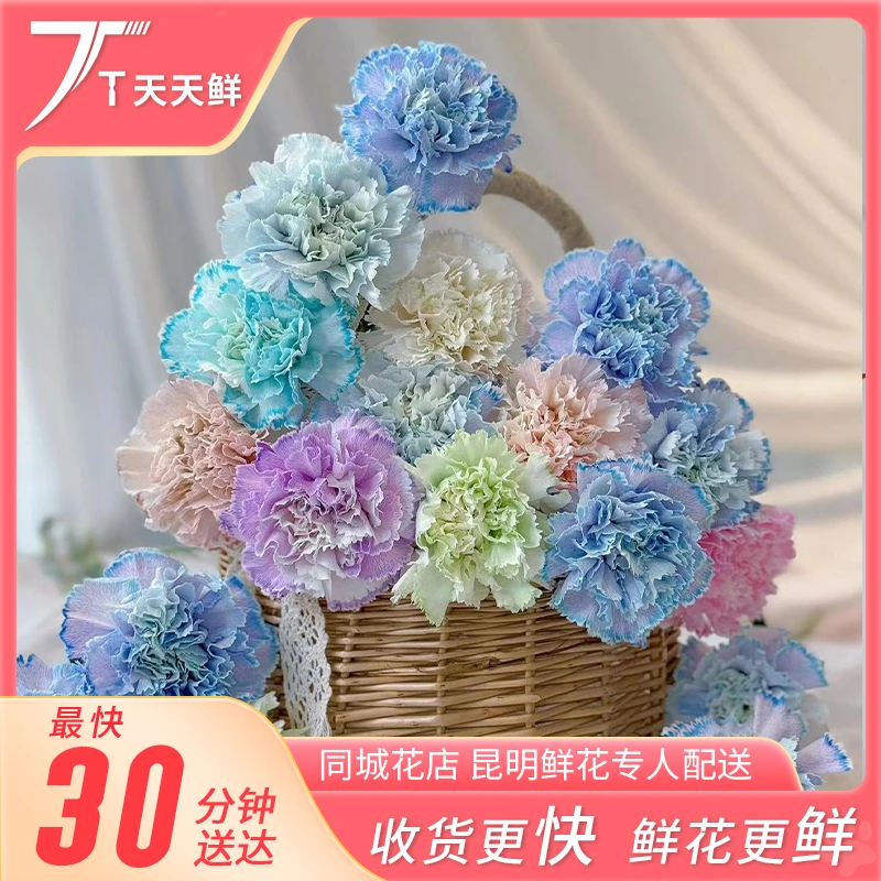 【吸色康乃馨10支】夏日花期长，浅水位养护