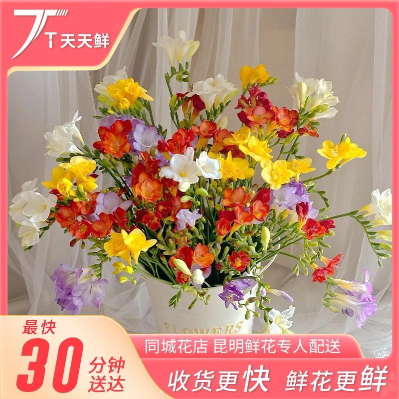 【春日限定】小苍兰/香雪兰 （颜色随机，下单备注）】春日鲜花 | 香水味 | 天天鲜花小时达同城配送