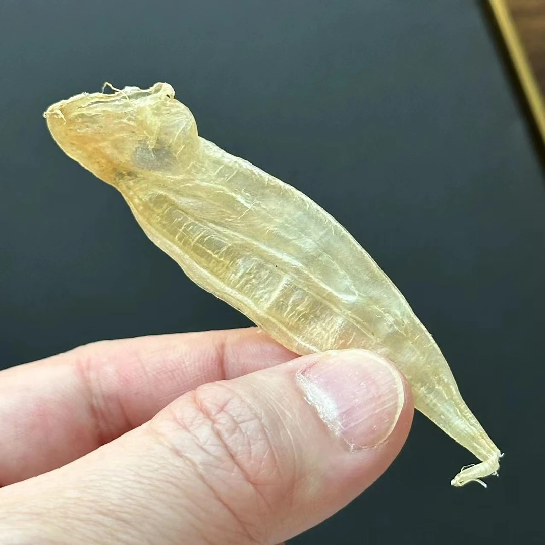 【福暖】晓码头 豆仁胶200头小孩产地湛江滋补直播间链接