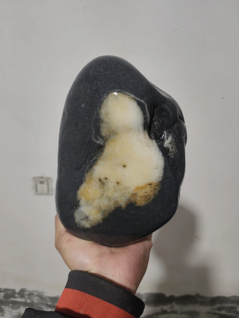 大自然鬼斧神工天鹅