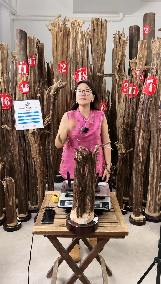 【闪购商品】沉香摆件沉香摆件+底座B69